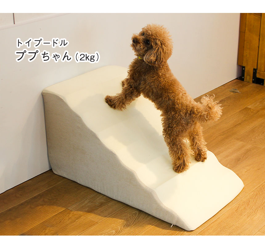 さざなみペットスロープ