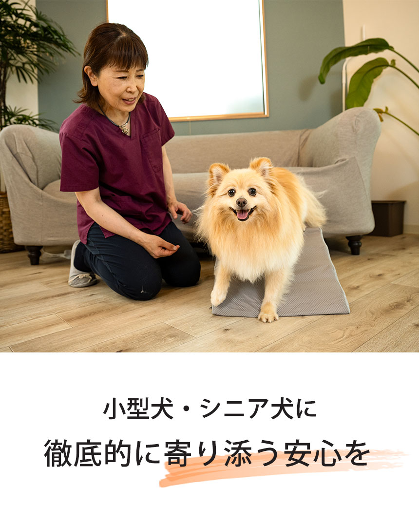 さざなみペットスロープ