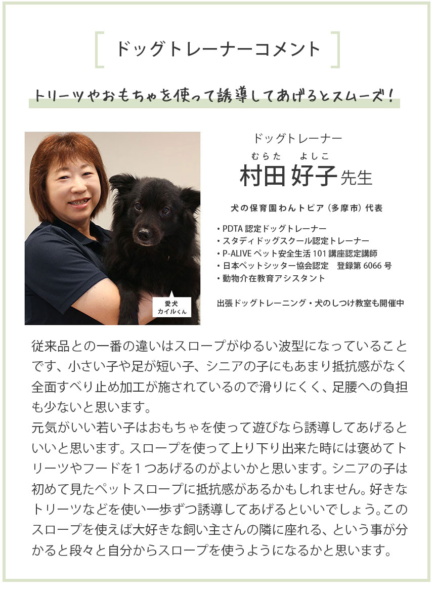 さざなみペットスロープ