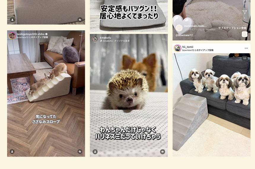 さざなみペットスロープ