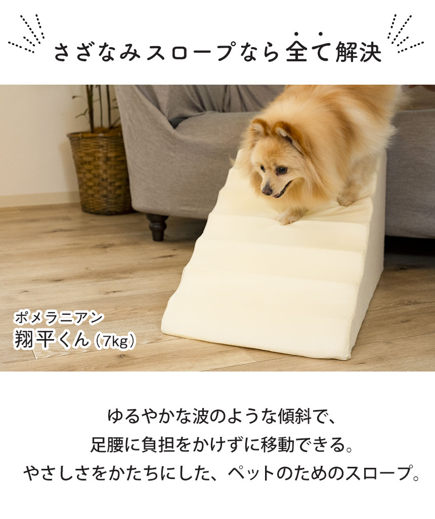  スロープ＋専用カバー