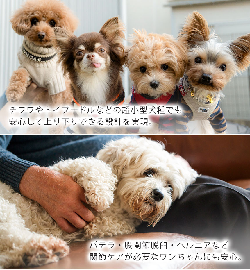  スロープ＋専用カバー