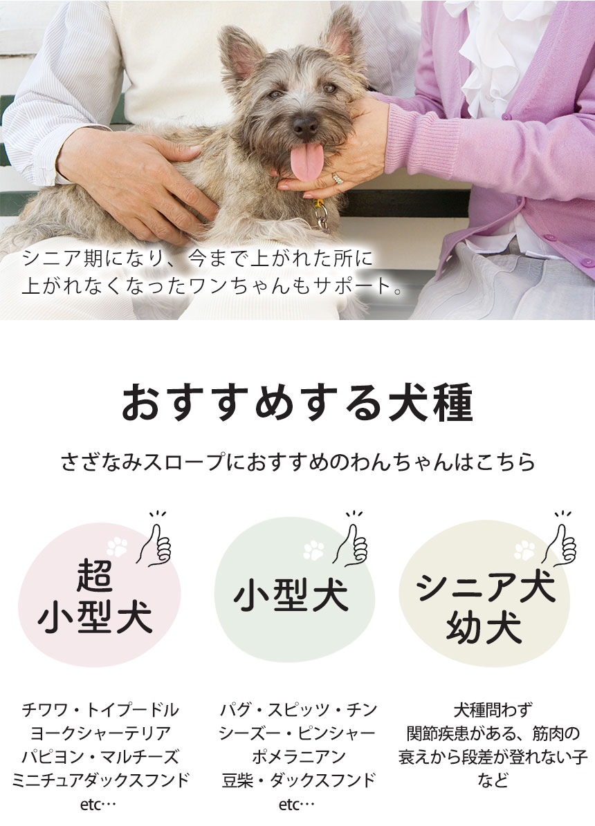  スロープ＋専用カバー