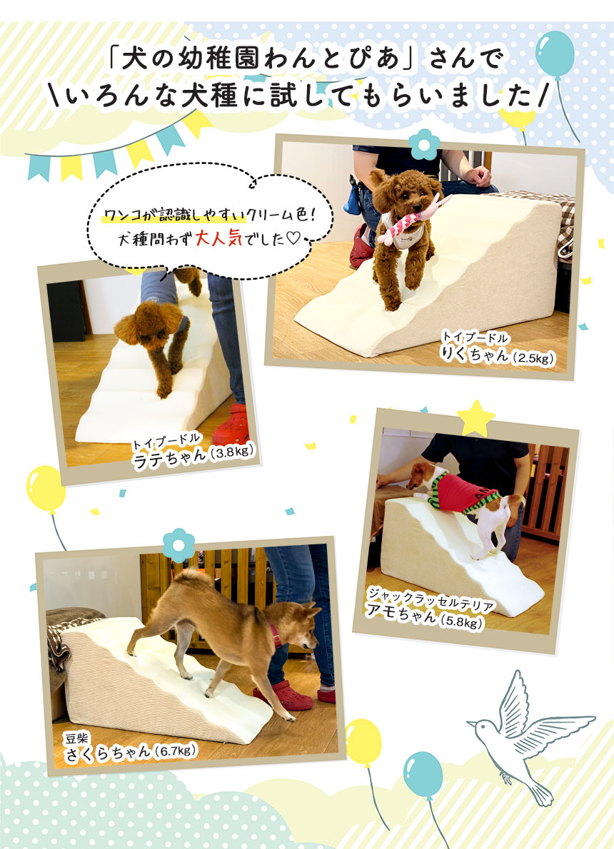  スロープ＋専用カバー