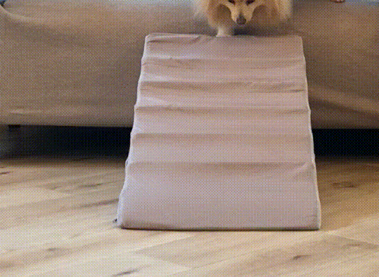 さざなみペットスロープ