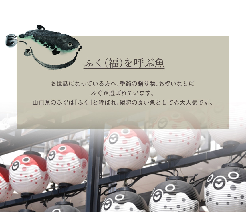 国産とらふぐ焼きひれ3g袋タイプ