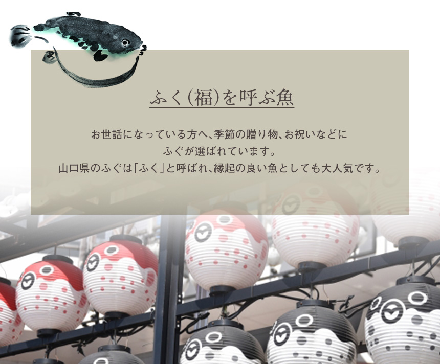 ふく骨焼せんべい