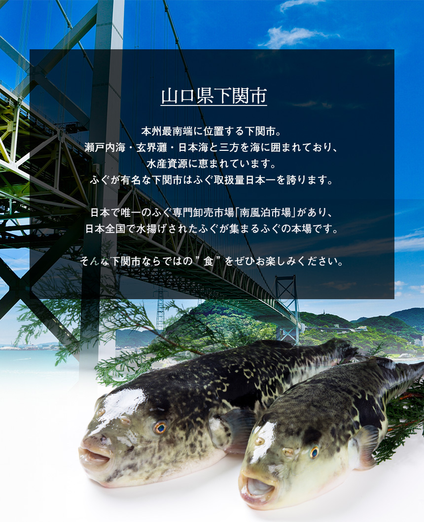 とらふく茶漬け【4食】