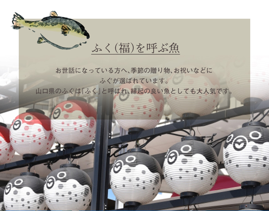 国産ふくカレー【2食】