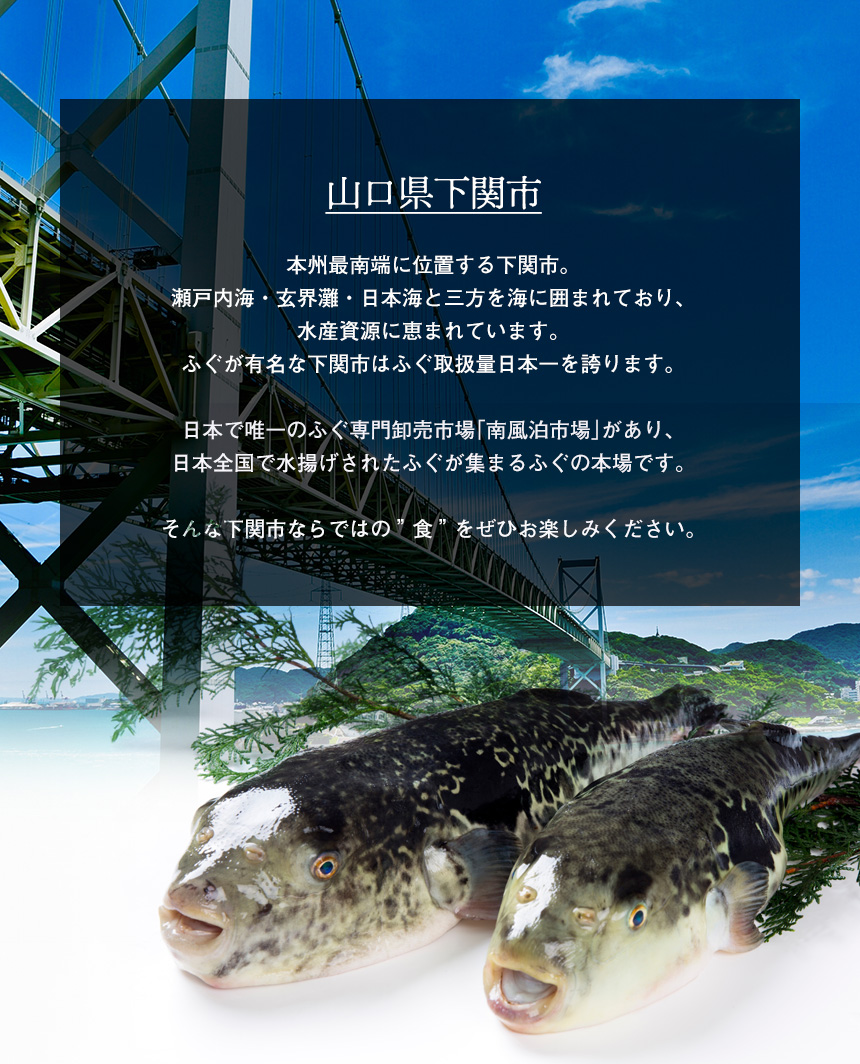 国産ふくカレー【2食】