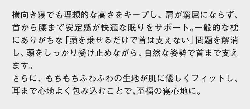 空間fitの夢まくらPLUS
