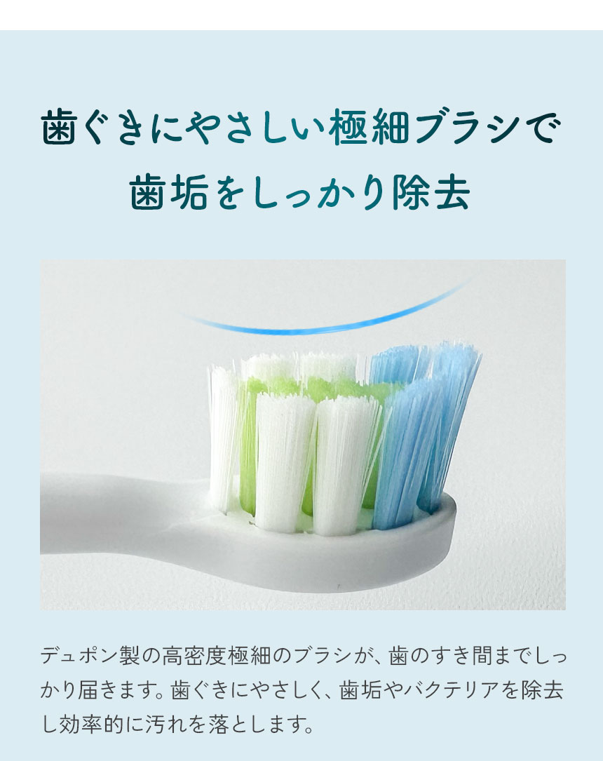 交換用ブラシヘッド10本