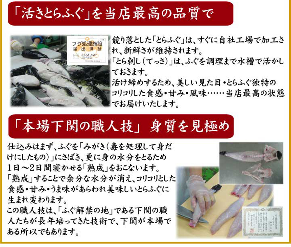 とらふぐ料理フルコース【6-7人前】