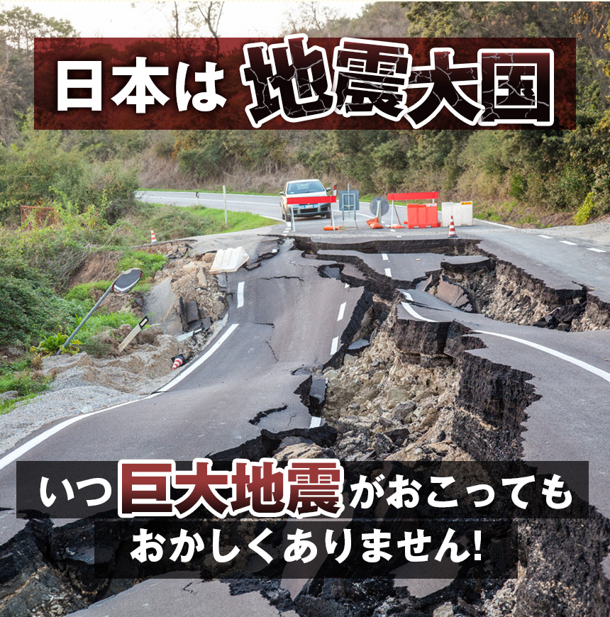 長期保存食【8袋セット（2種×4袋）】