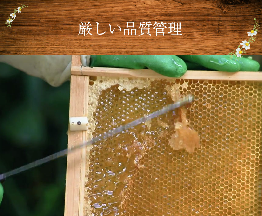 はち福堂はちみつ