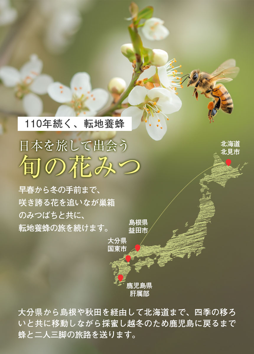 はち福堂はちみつ