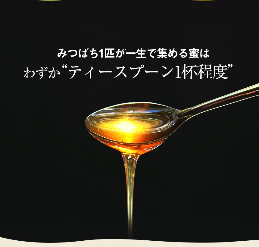 はち福堂はちみつ