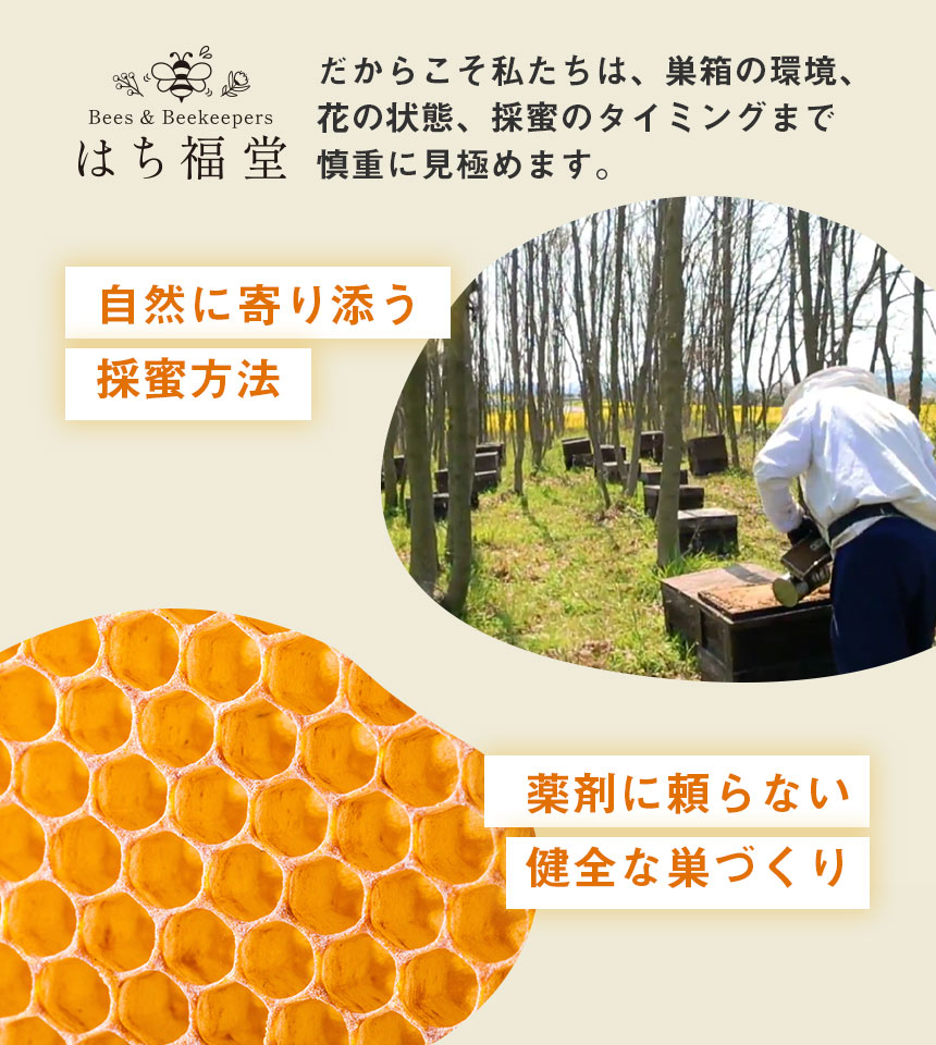 はち福堂はちみつ