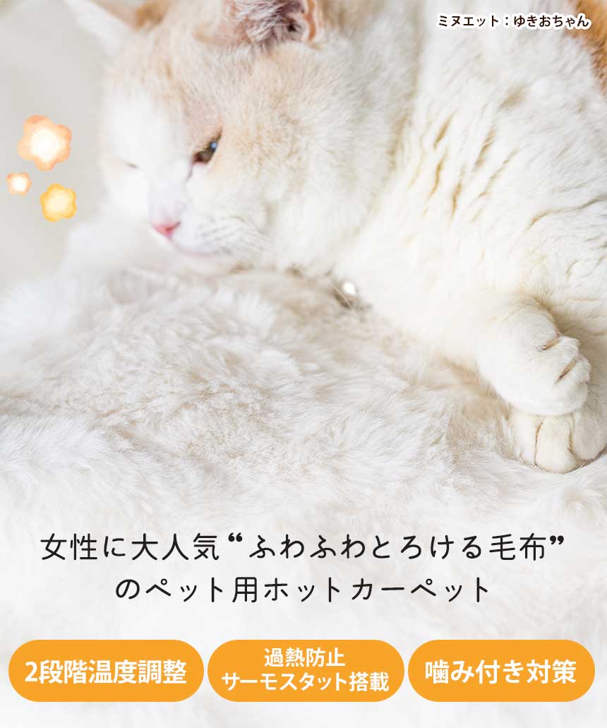 カーペット