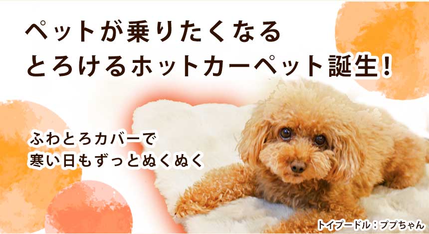 カーペット