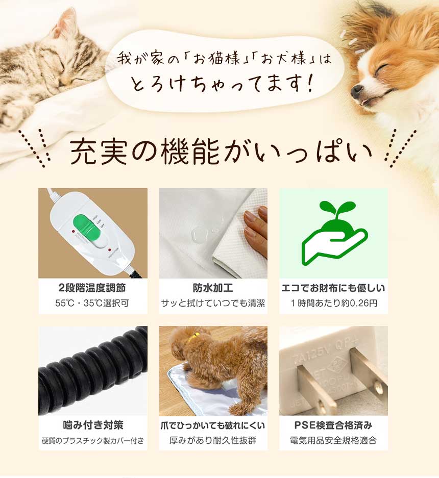 カーペット