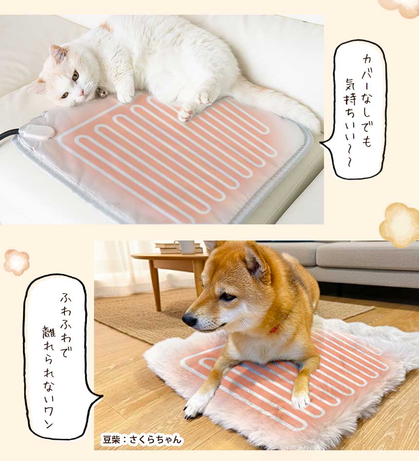 カーペット