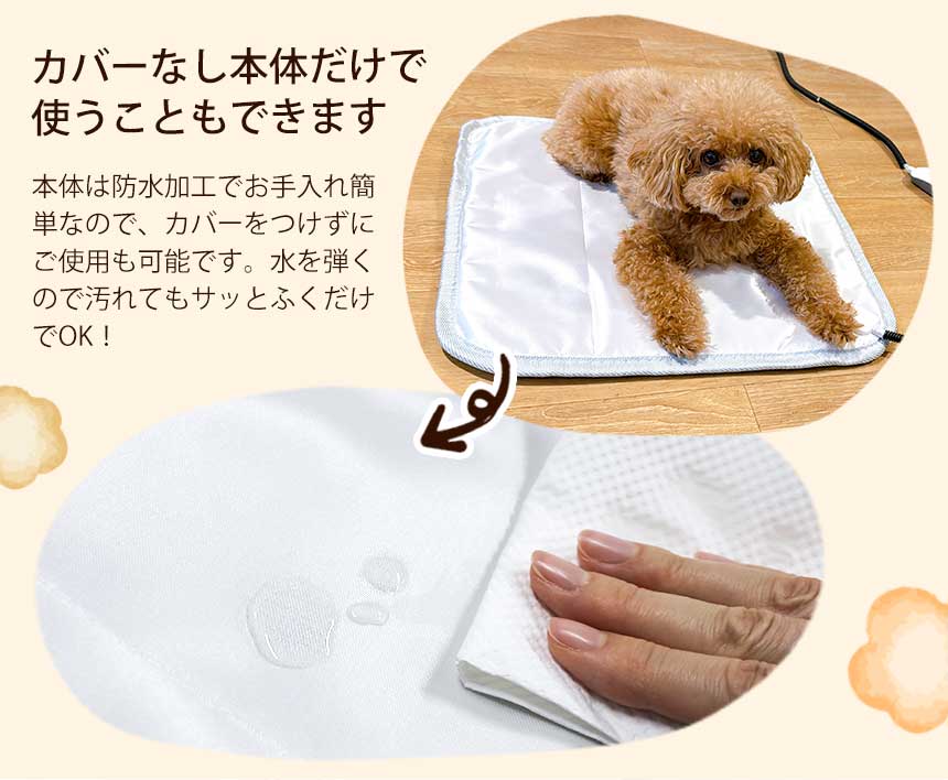 カーペット