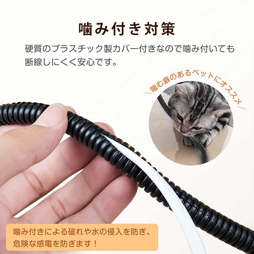 カーペット