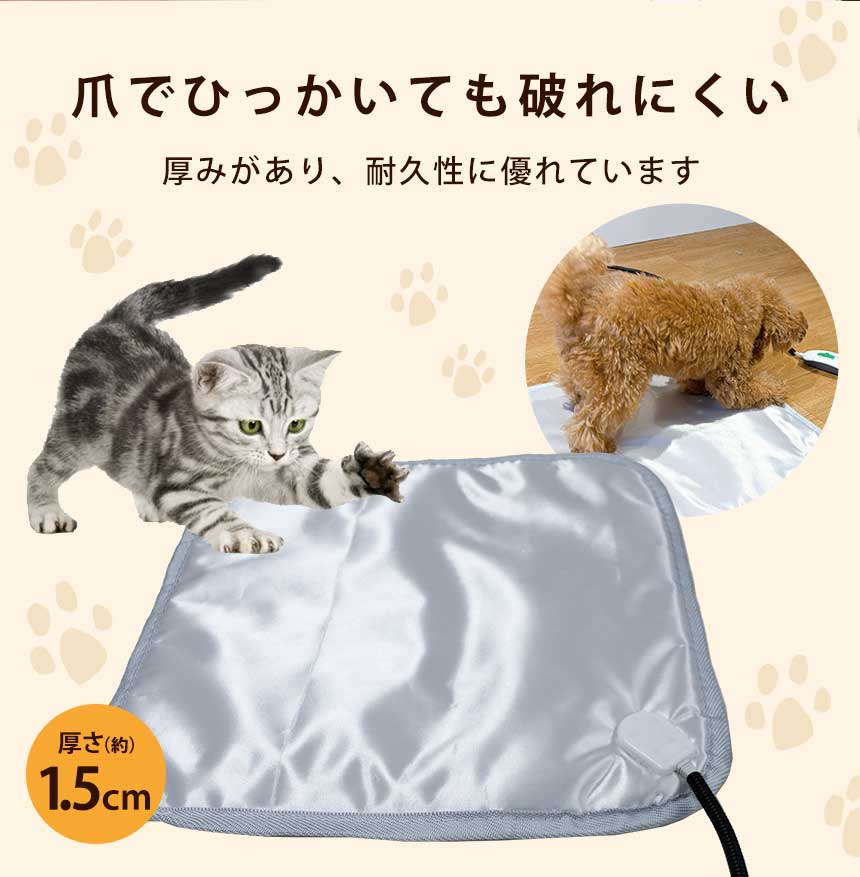 カーペット