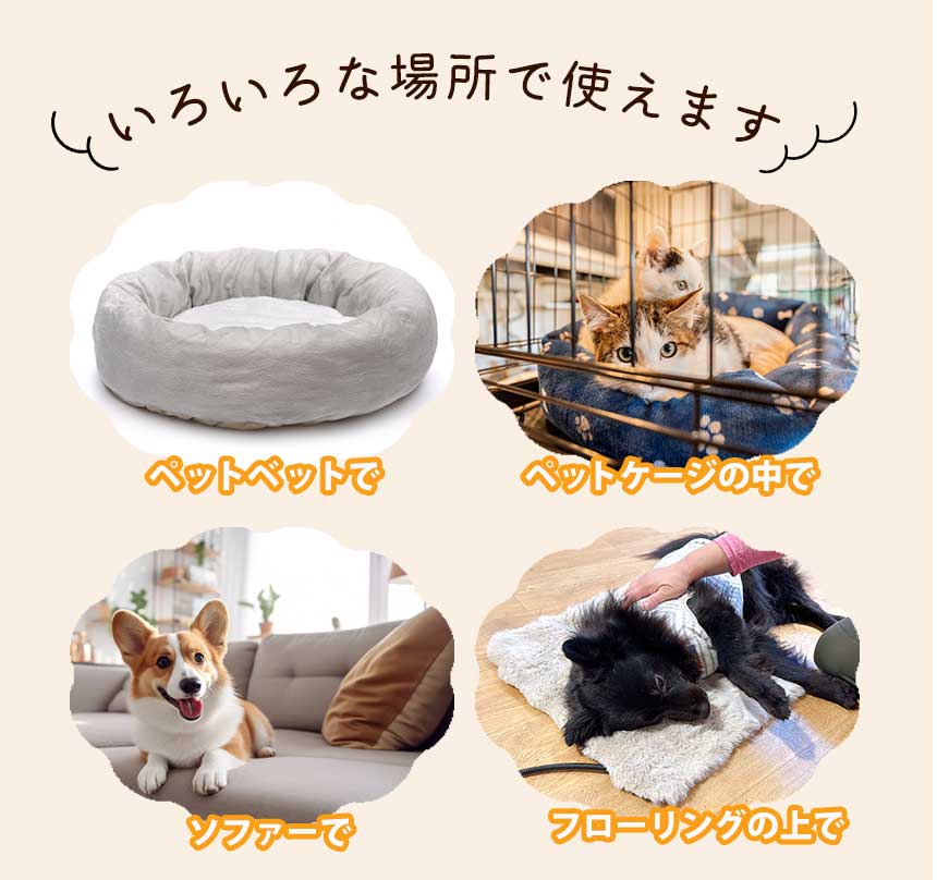 カーペット
