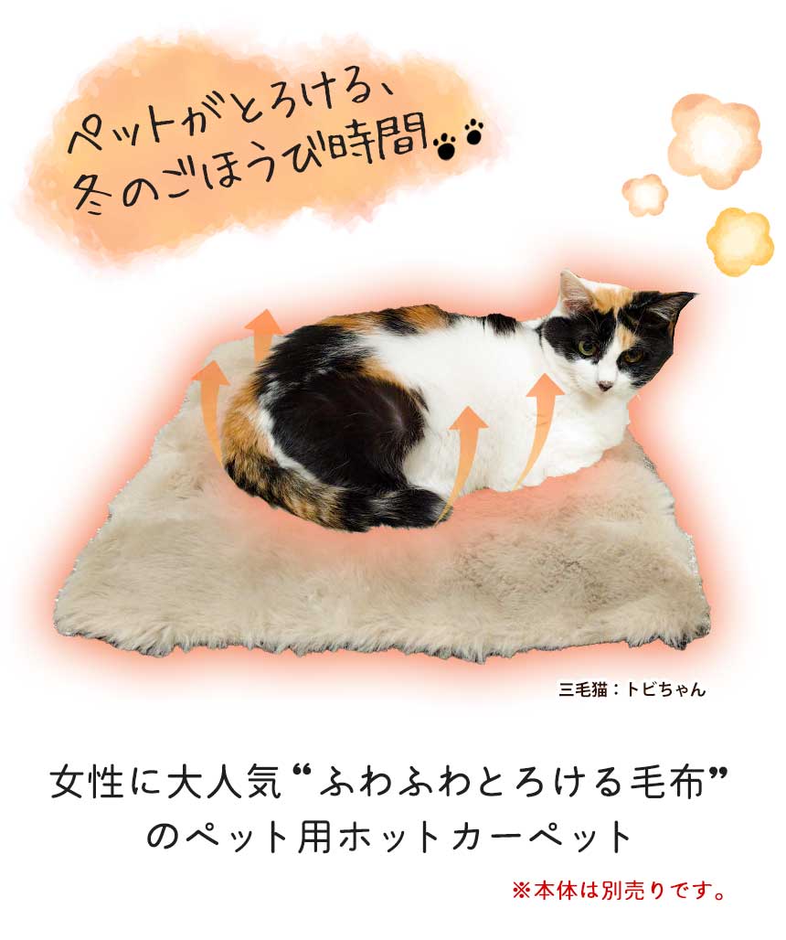 カバー