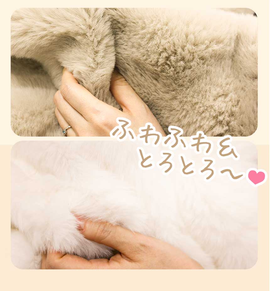 カバー