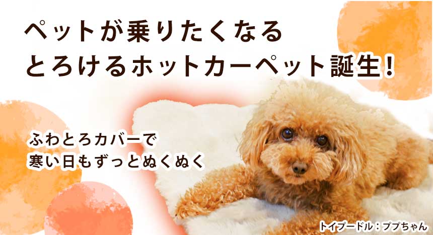 カバー