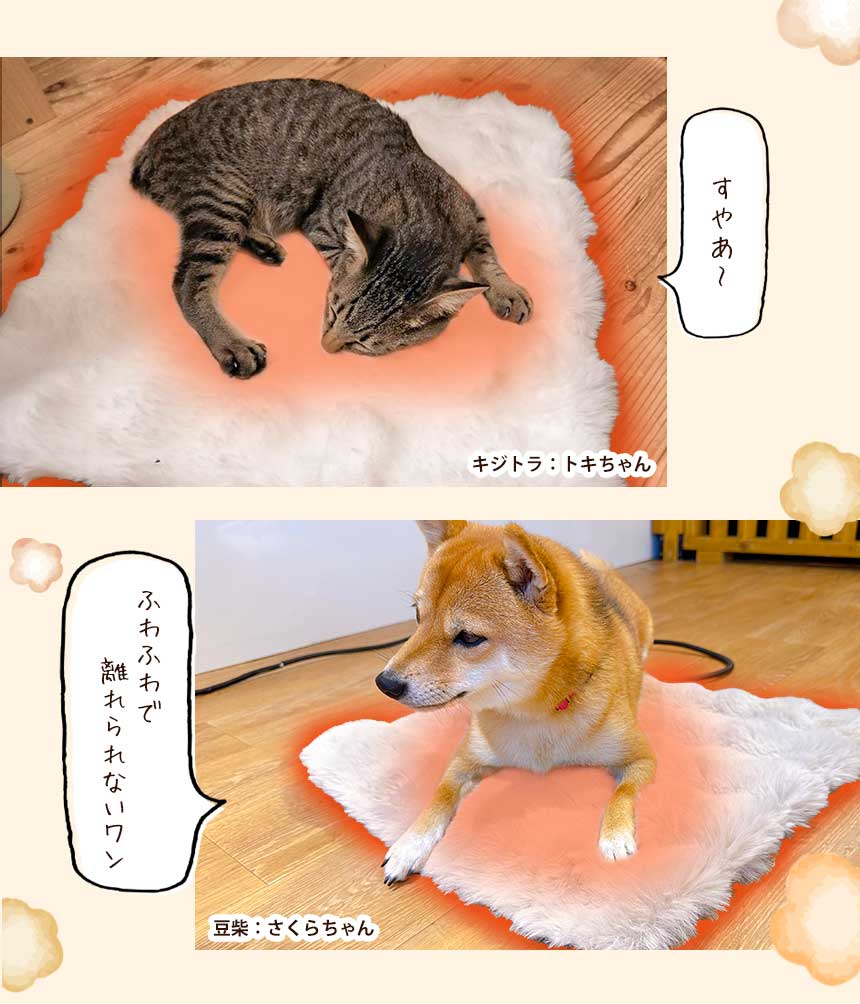 カバー