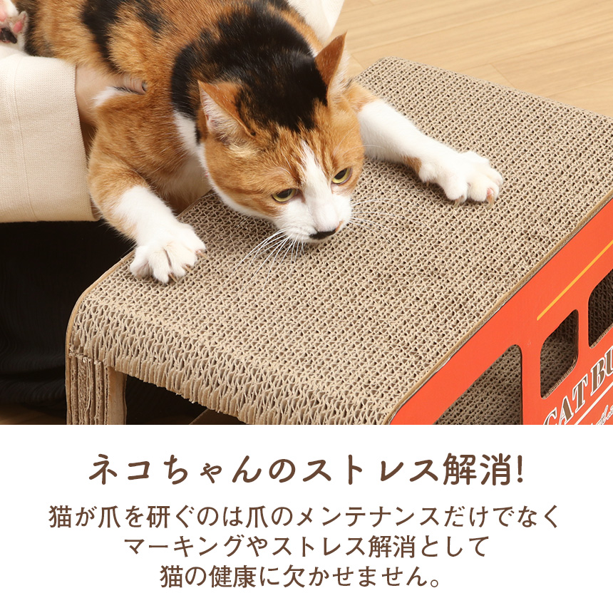 猫の爪とぎ