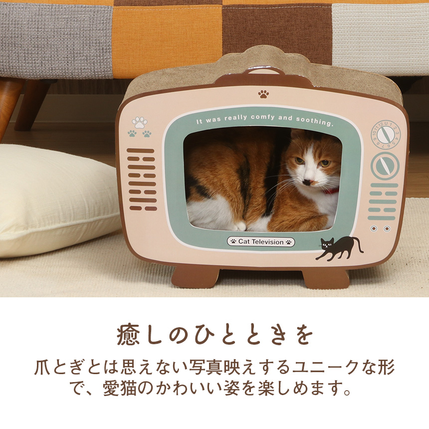 猫の爪とぎ