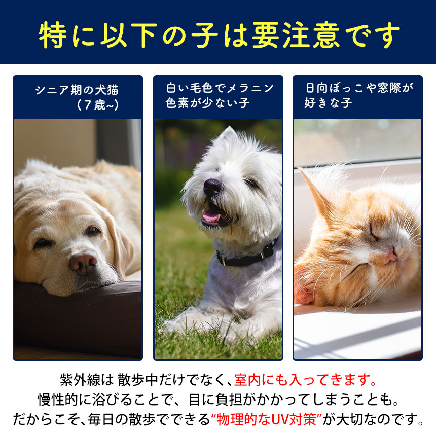 bow&mew 犬猫兼用おさんぽUVカットキャップ