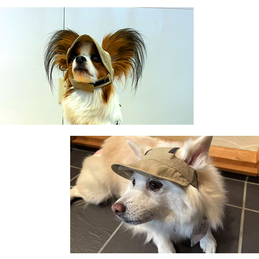 bow&mew 犬猫兼用おさんぽUVカットキャップ