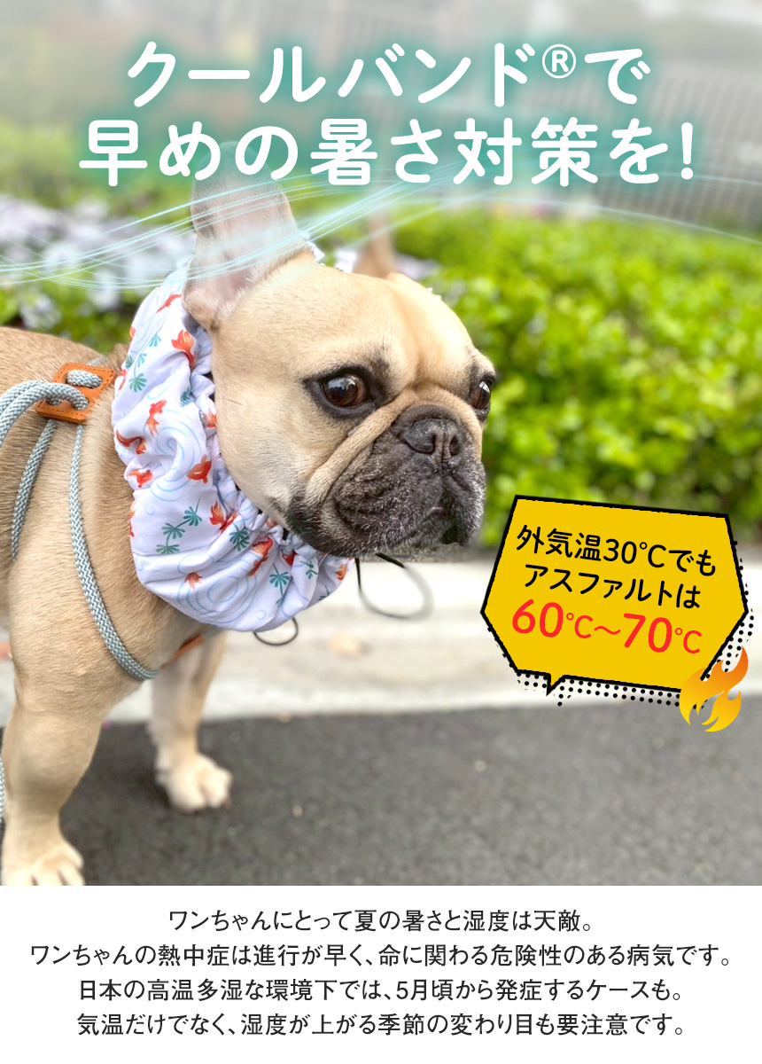 ドッグクールネックバンド