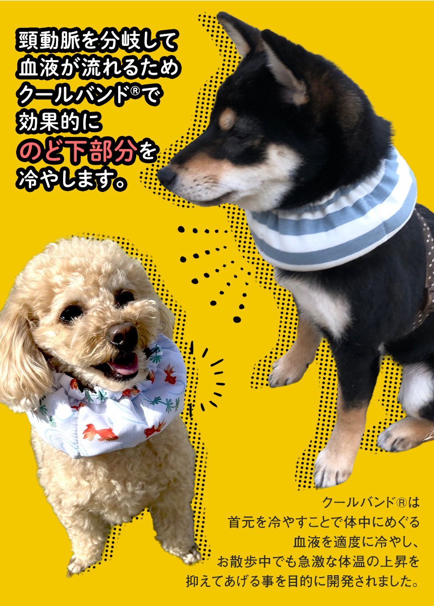 ドッグクールネックバンド