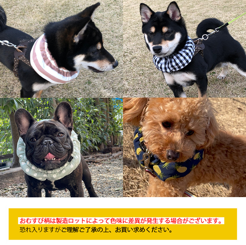 ドッグクールネックバンド