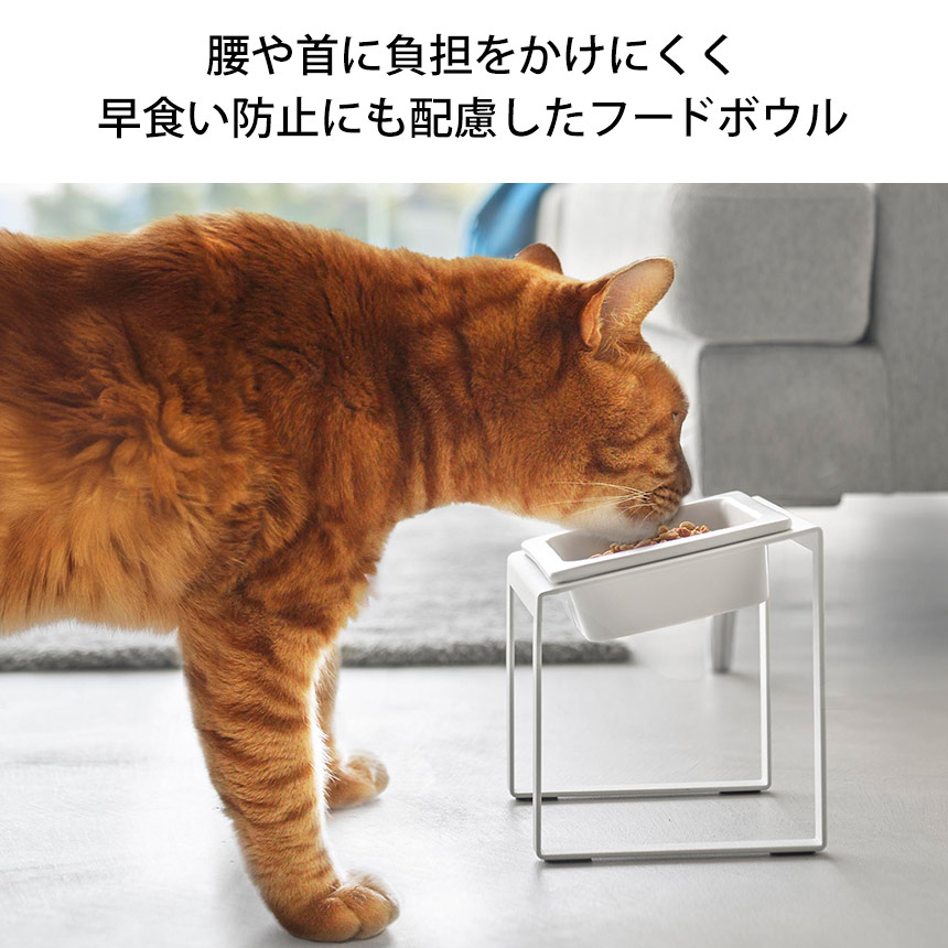 早食い防止