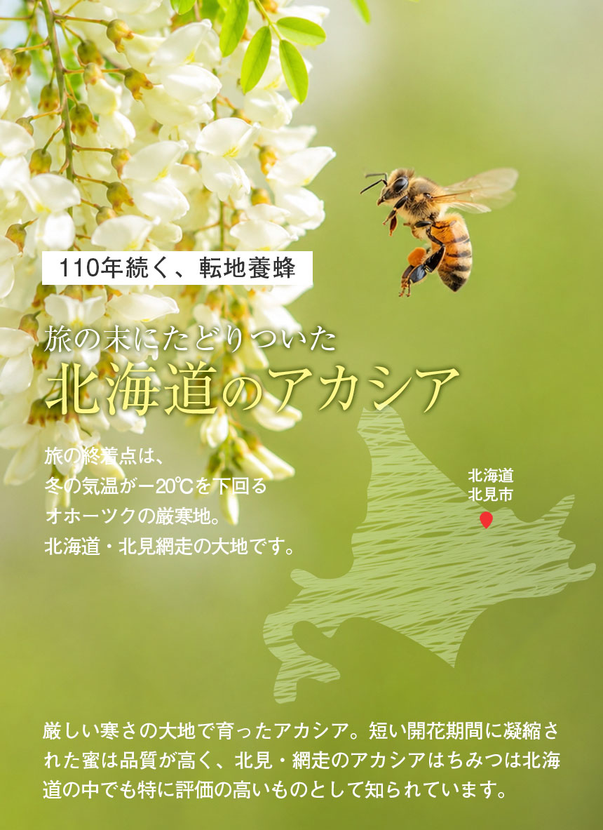 純粋アカシアはちみつ