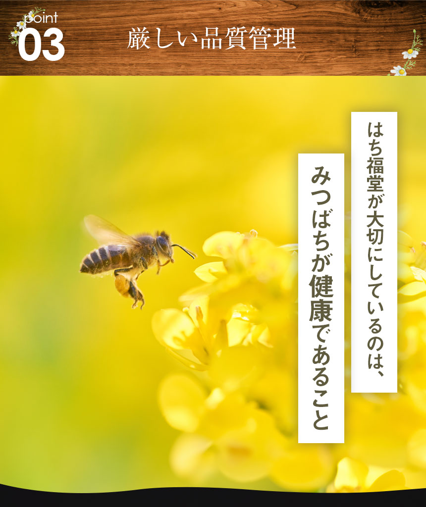 純粋アカシアはちみつ