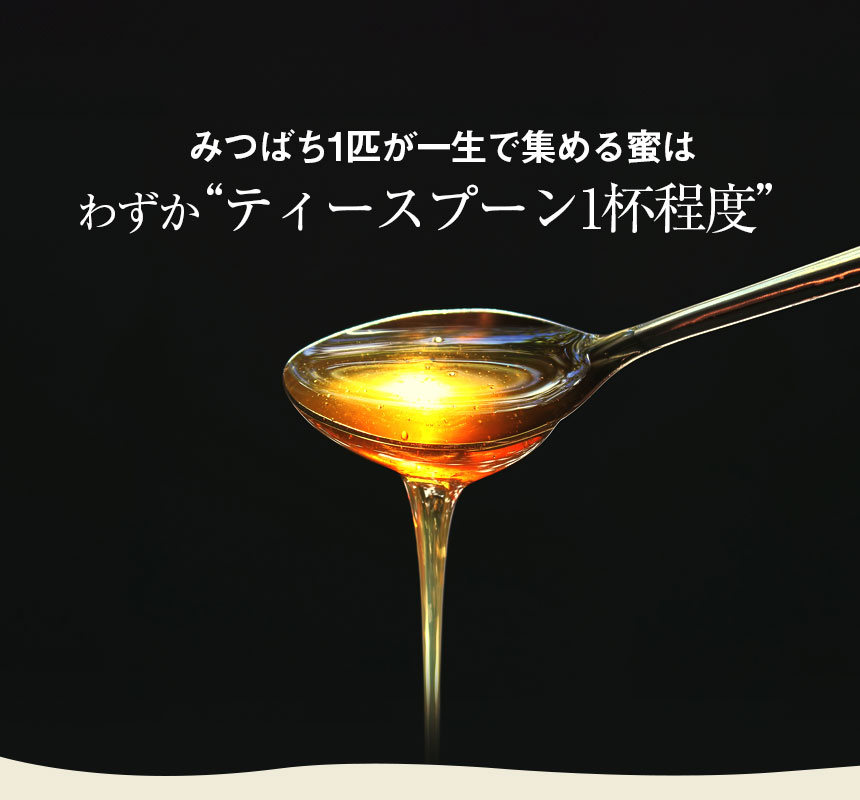 純粋アカシアはちみつ