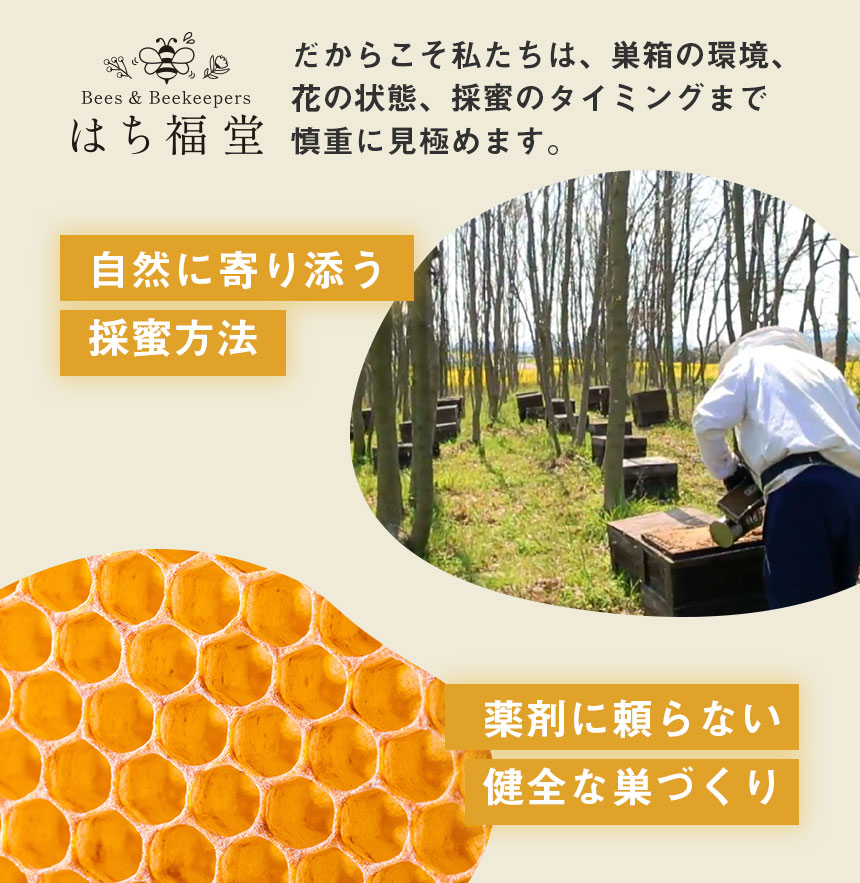 純粋アカシアはちみつ