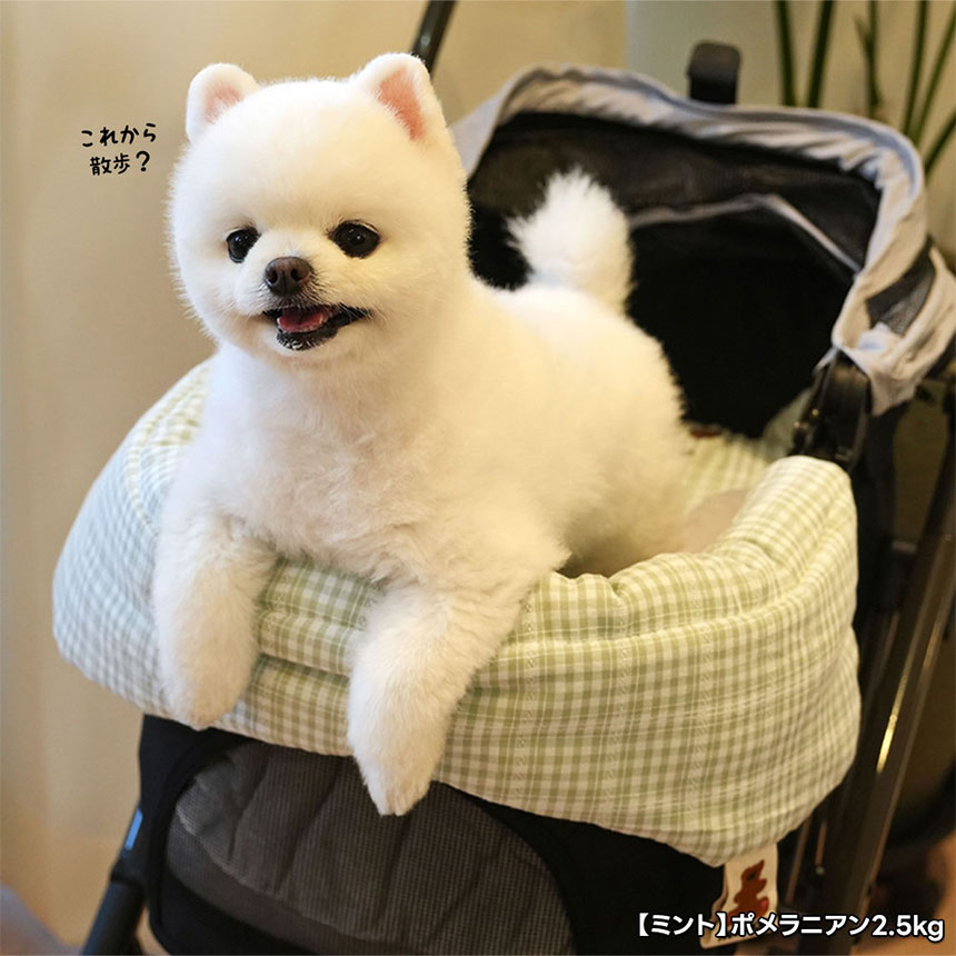 ParisDog ベアーコンフォートクッション