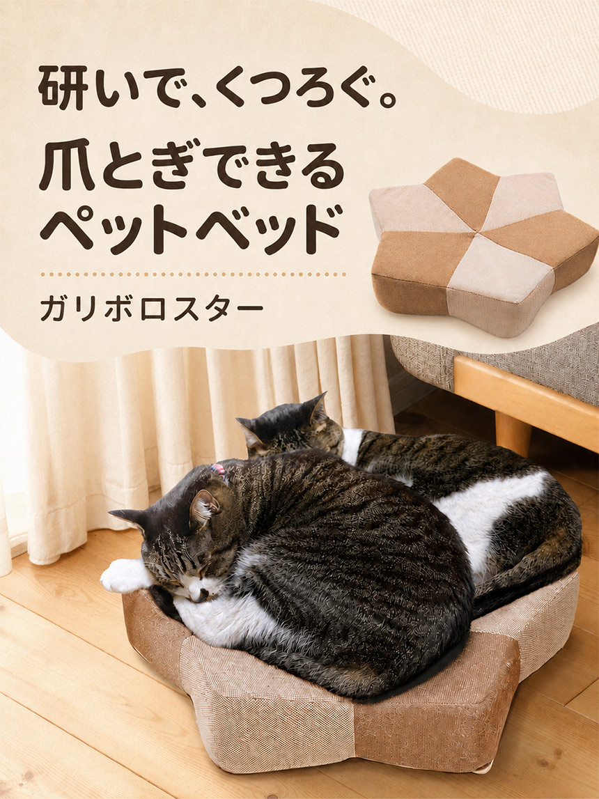 ガリぼろスター