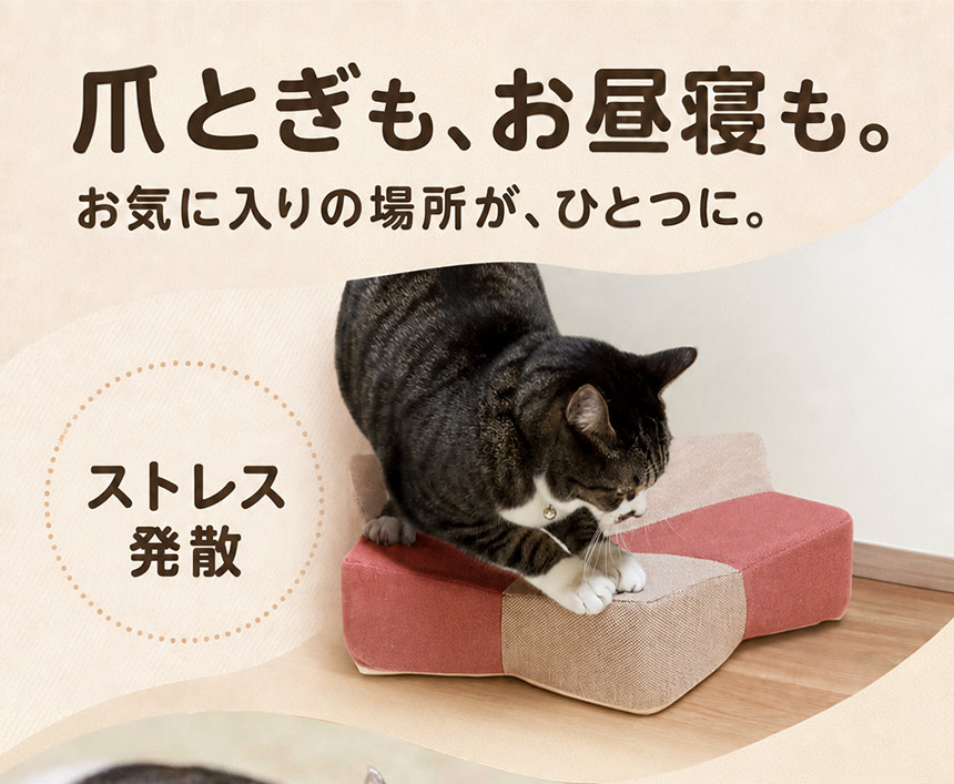 ガリぼろスター