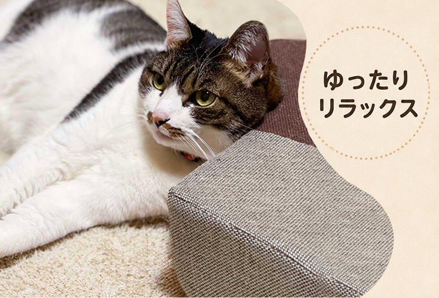 ガリぼろスター